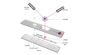 POC FLUORECARE immunochromatographisches Prinzip